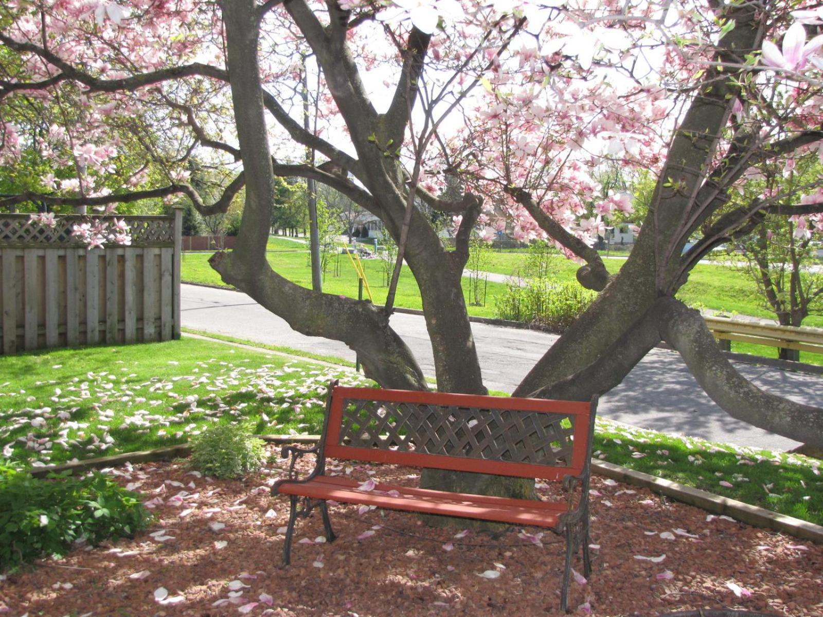 Strathaird Bed And Breakfast Niagara Bagian luar foto